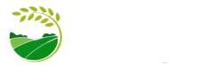 智目科技
